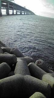 ジグサビキのちワインド！