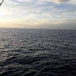 復調の兆し、ポツポツと！