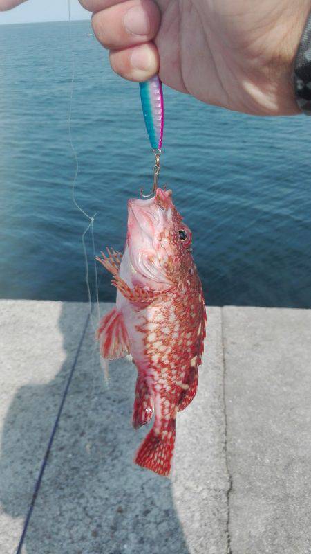 スーパーライトショアジギング