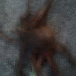 二日ぶりにヤットタコ