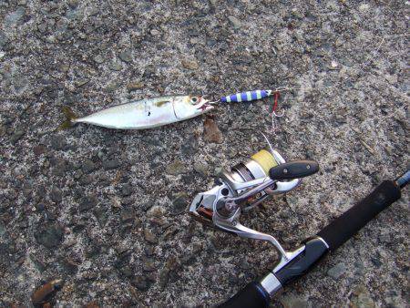 タチウオ不発でも