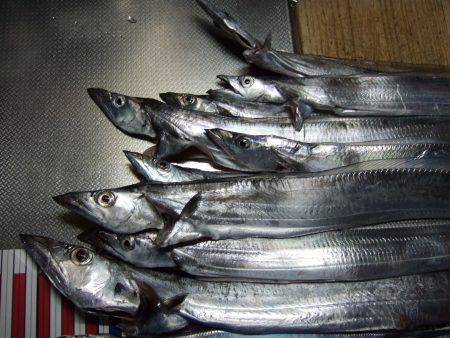 すこしの違いで釣果に差が。