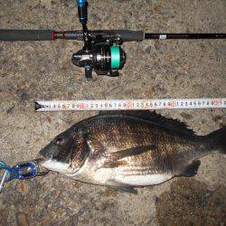 テクトロで良型チヌ♪