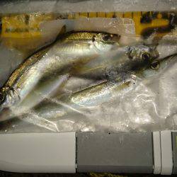 豆すぎました。