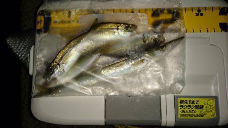 豆すぎました。