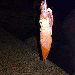 何とか釣れたー!