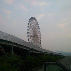 タチウオ調査初タッチー