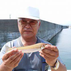 阿万海岸へキス釣査
