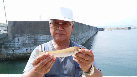 阿万海岸へキス釣査