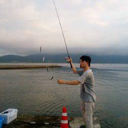 沼島赤灯台でショアジギング&サビキ釣行