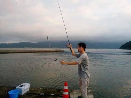 沼島赤灯台でショアジギング&サビキ釣行