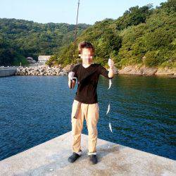 沼島 泊波止赤灯台でサビキ釣り