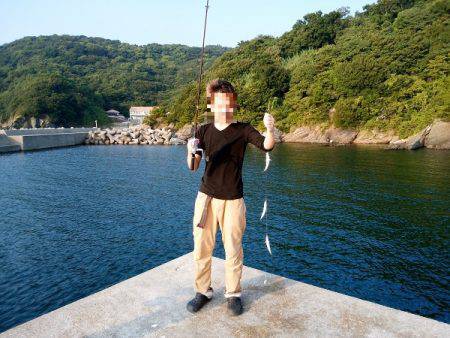 沼島 泊波止赤灯台でサビキ釣り