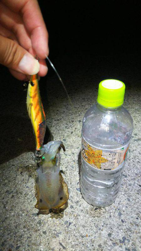 前回の釣行のリベンジ