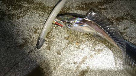 ランガン刀狩り