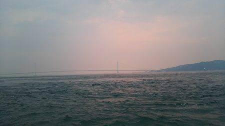 エギング大賑わい