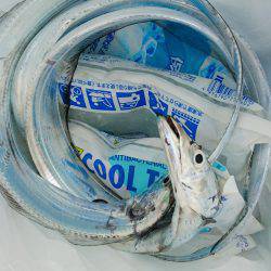 やっぱり夏太刀