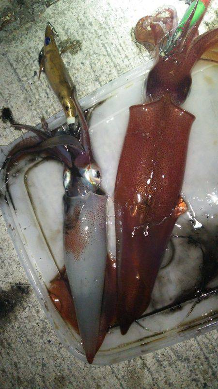 パターンを見つけて連発！