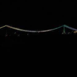 ケンサキイカ狙い