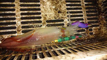 イカメタル２戦目