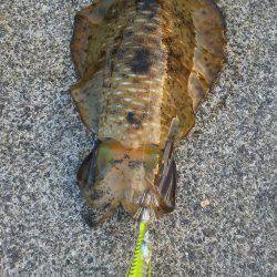 二木島の隣の甫母新港２