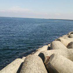 貝塚人工島でサゴシ