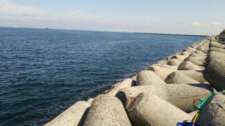 貝塚人工島でサゴシ