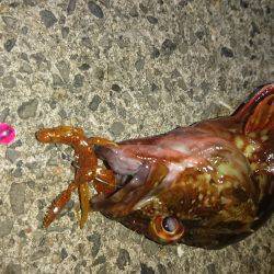 ええ雰囲気でしたが・・