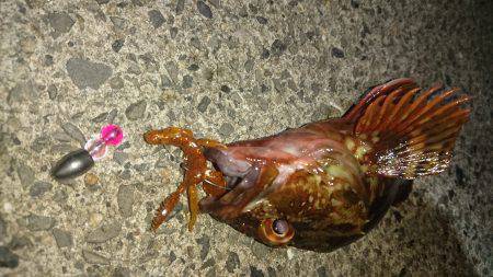 ええ雰囲気でしたが・・