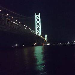 ライトエギングで剣先イカ