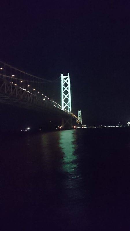 ライトエギングで剣先イカ