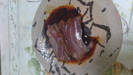 サビキ＆胴突で色んな魚種