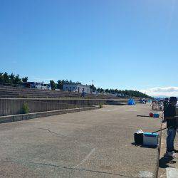 南芦屋浜の夏チヌ