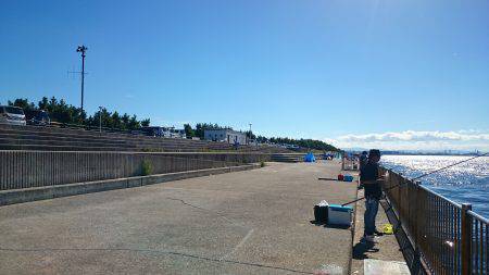 南芦屋浜の夏チヌ