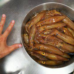 まだまだイケますな( ☆∀☆)