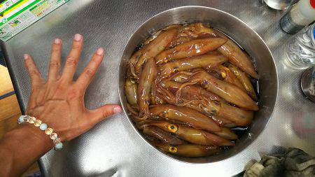 まだまだイケますな( ☆∀☆)