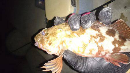 エギングのちガシリング