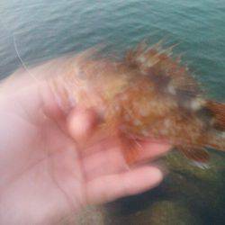 テキサスリグにて…