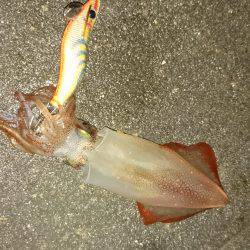 雨のちケンサキ