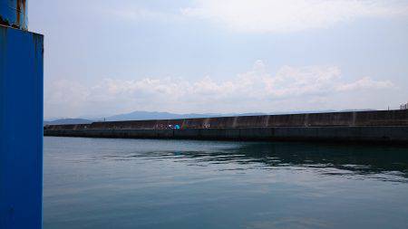 田ノ浦で良サイズのイワシ