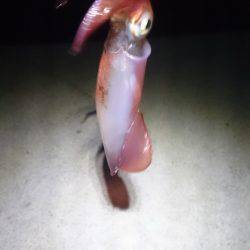 渋かったです。