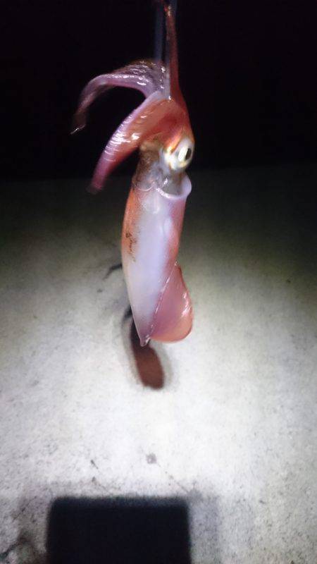 渋かったです。