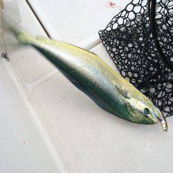 沼島沖タイラバ