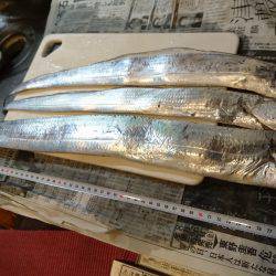 暑い中でも夏タチ