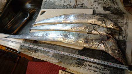 暑い中でも夏タチ