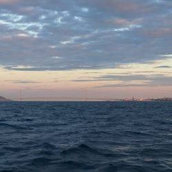 初めての船釣り