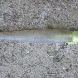 ワインドとジギング