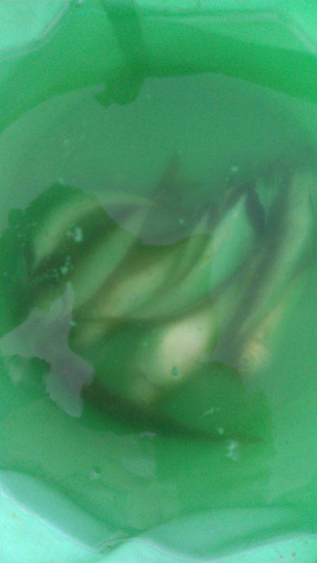 これからって時に…。