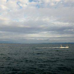 どうにかボウズは免れた・・・