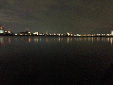 キビレ調査　ＮＯ，１１